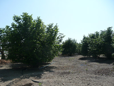 ファイル 239-3.jpg
