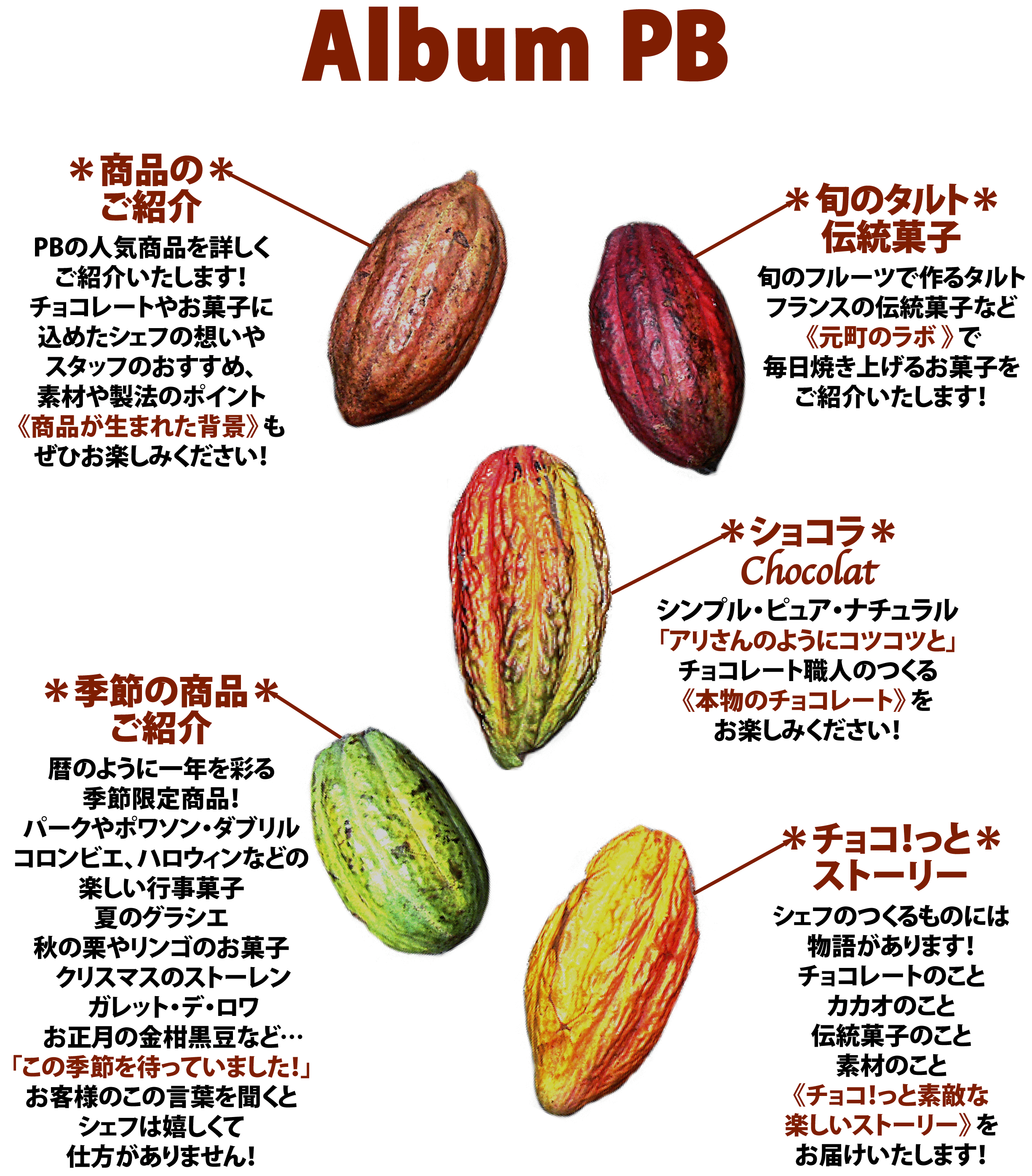 albumindex